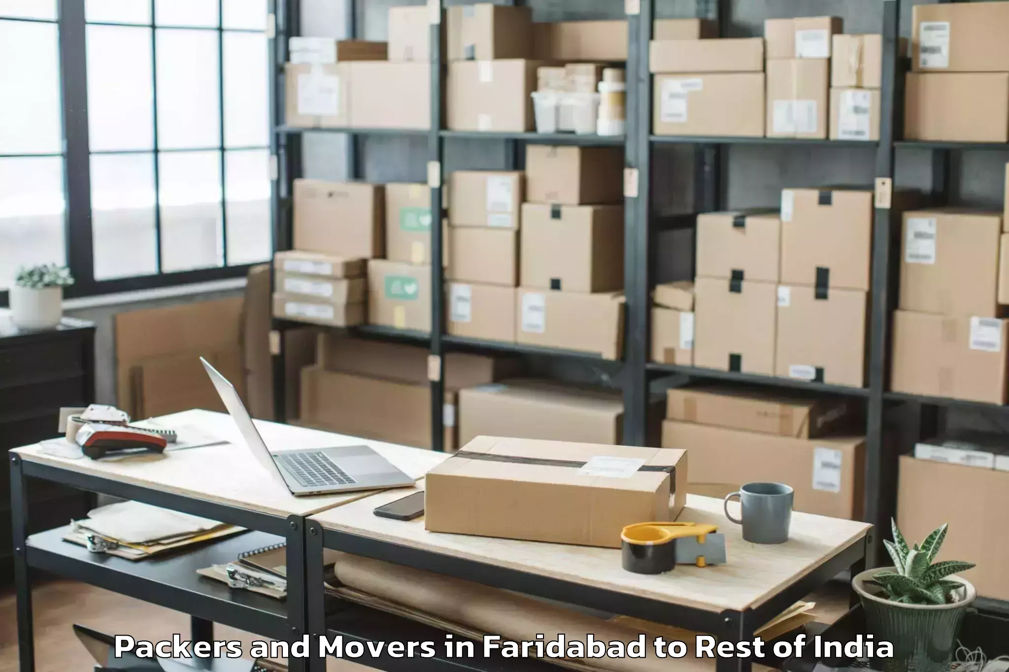 Professional Faridabad to Karnah Packers And Movers